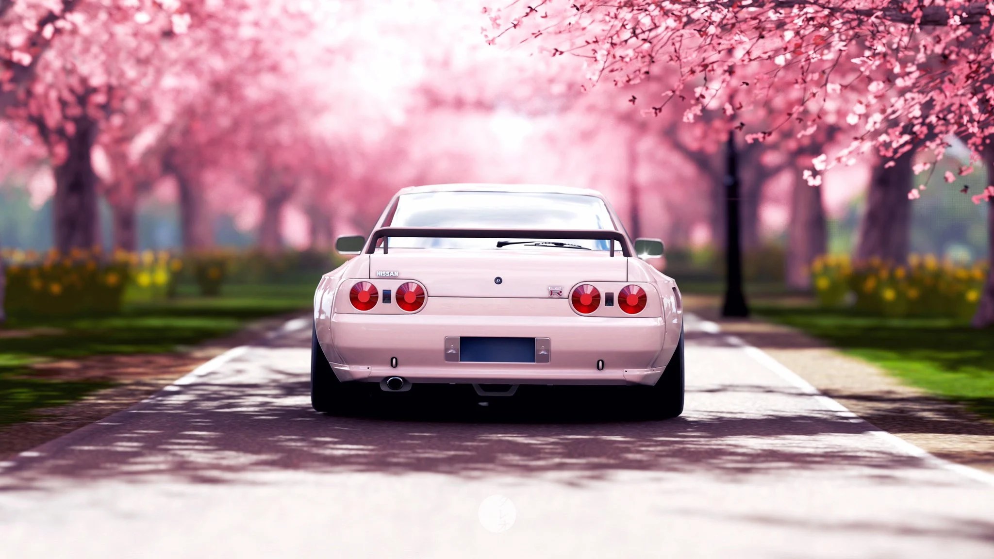 Cherry Blossom Car Wallpapers Wallpaper Cave