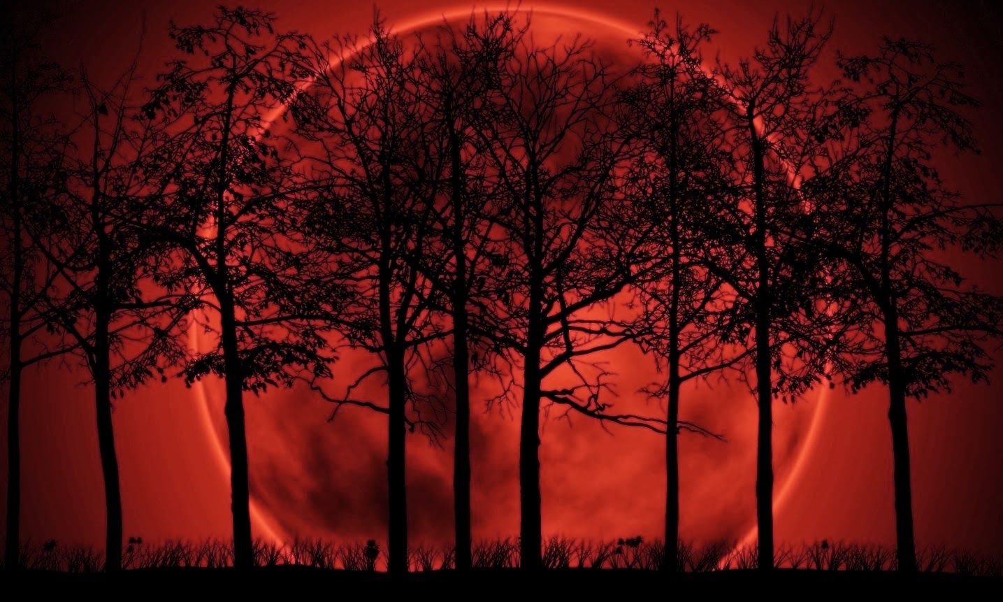 Red Giant Wallpapers Wallpaper Cave