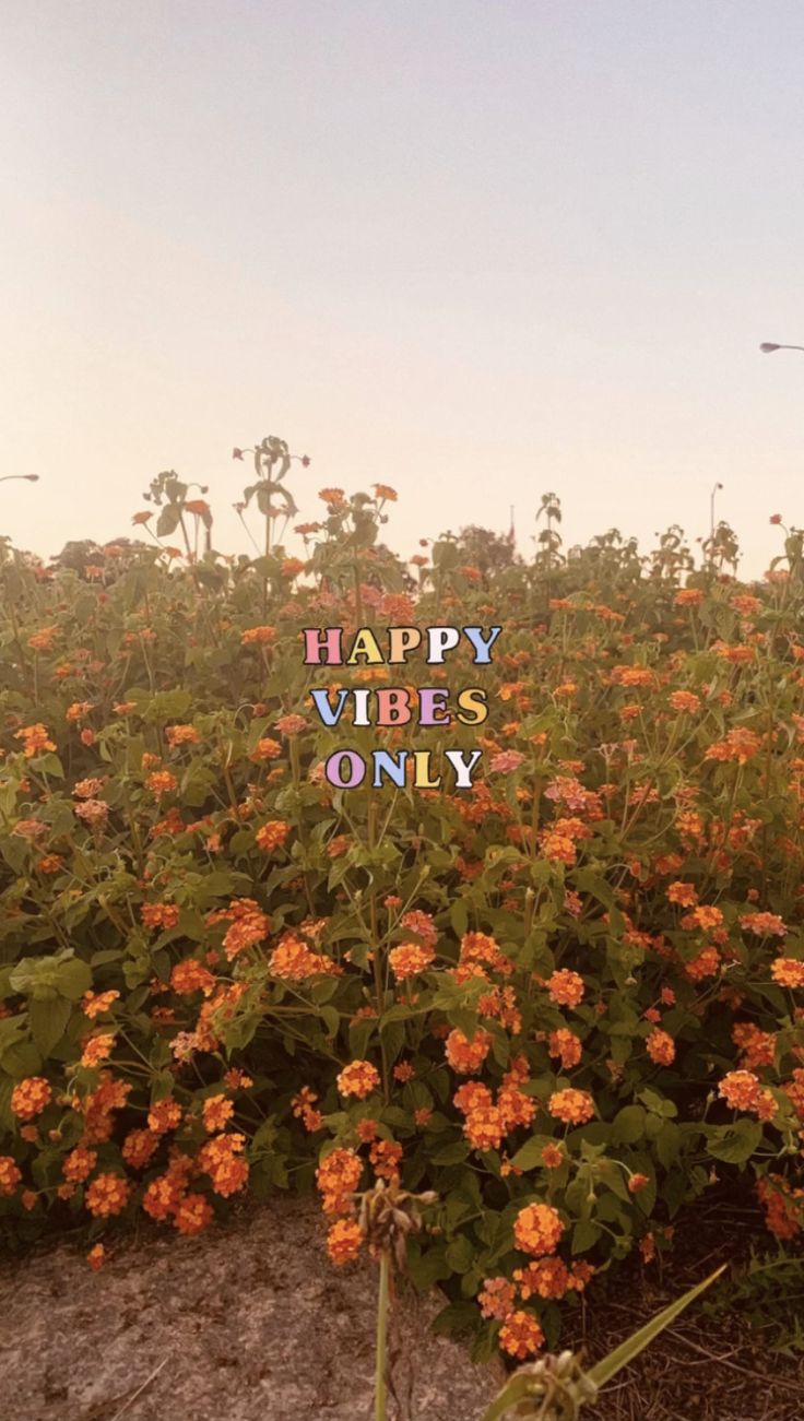 Aesthetic Warm Wallpapers Wallpaper Cave