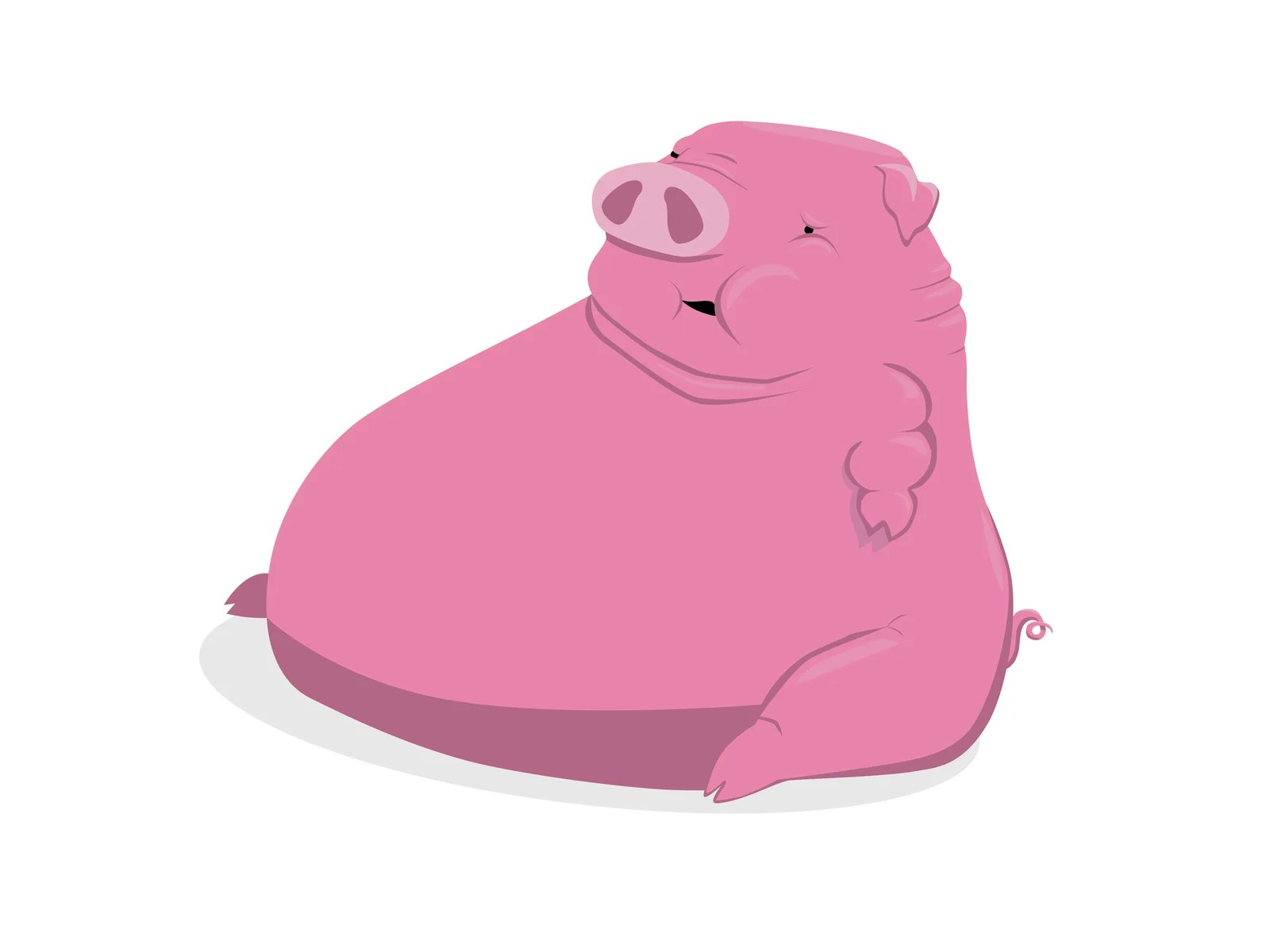 Ugly Pig Wallpapers Wallpaper Cave
