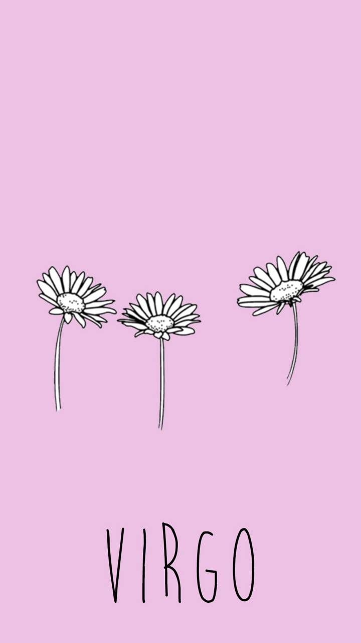 Pink Virgo Wallpapers Wallpaper Cave