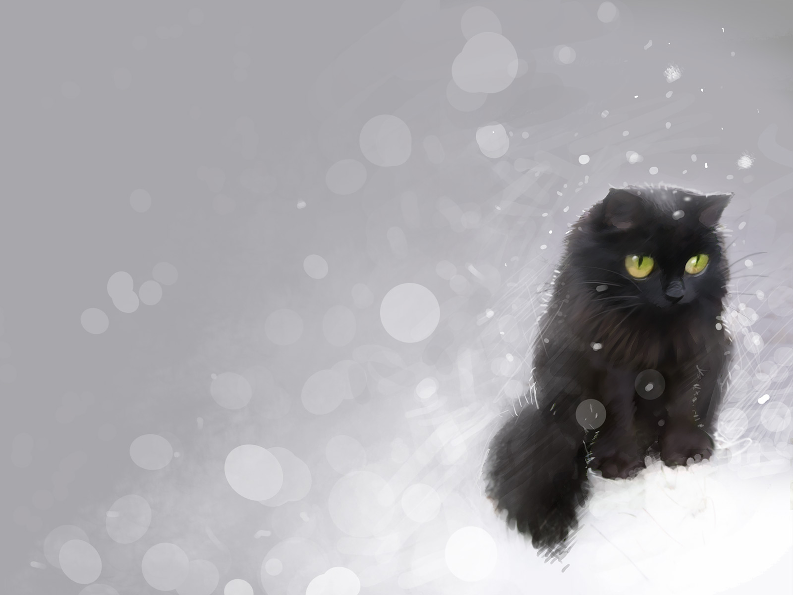 Cute Winter Cat Wallpapers Wallpaper Cave