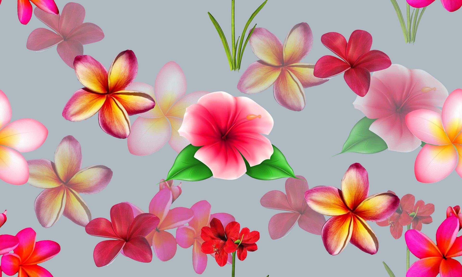 Small Flower Wallpapers Wallpaper Cave
