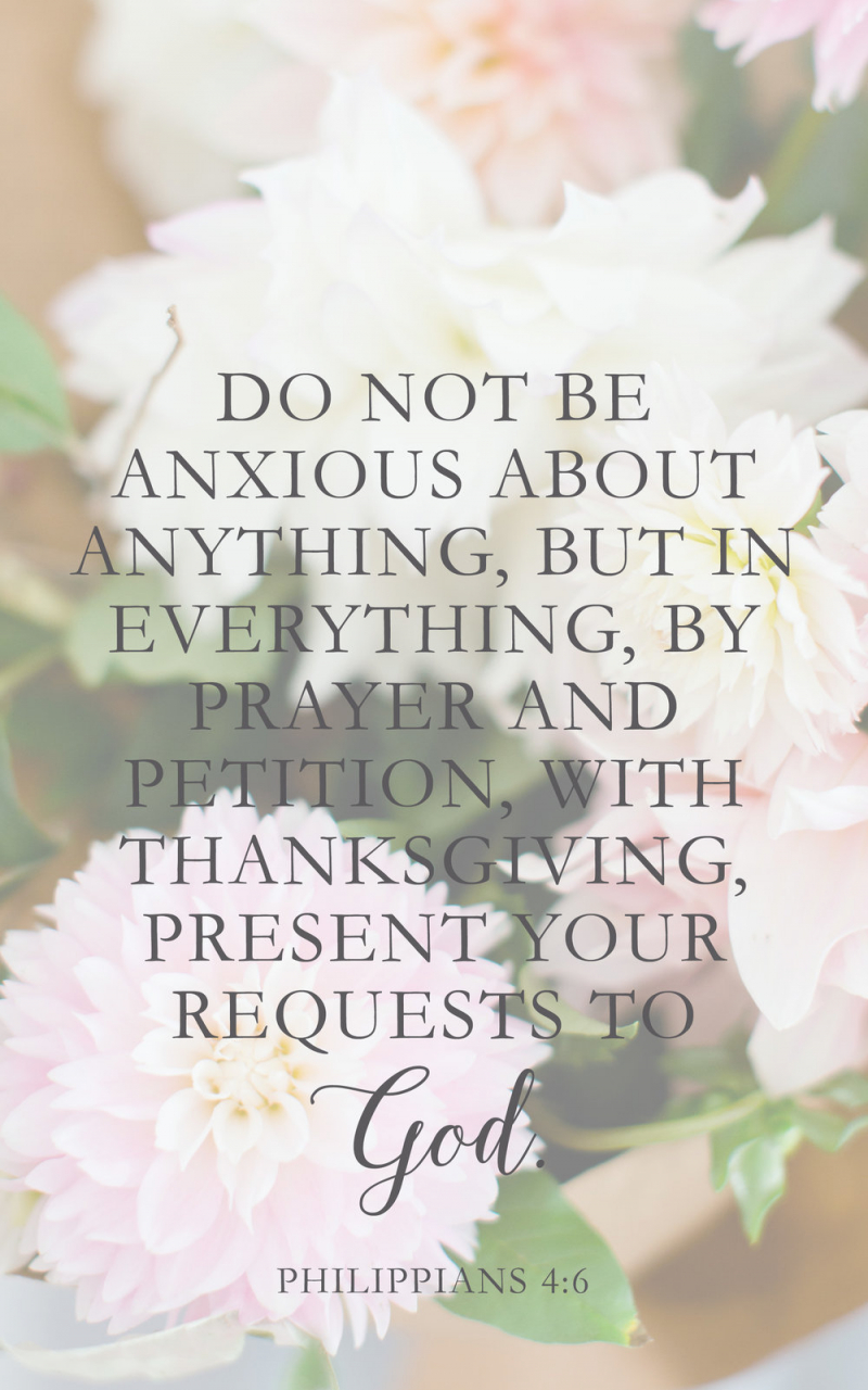 Philippians 46 Wallpapers Wallpaper Cave