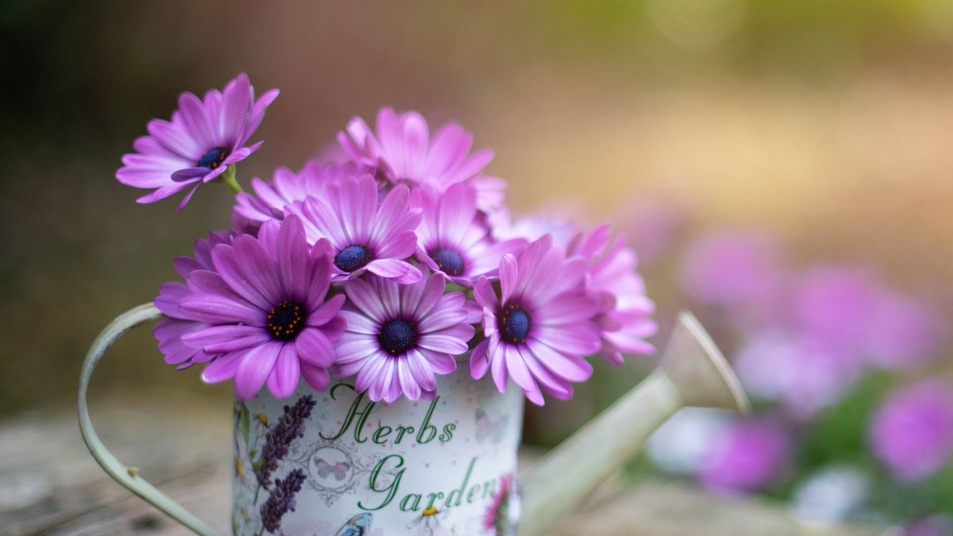 Flower Pot Images Wallpaper Hd Best Flower Site