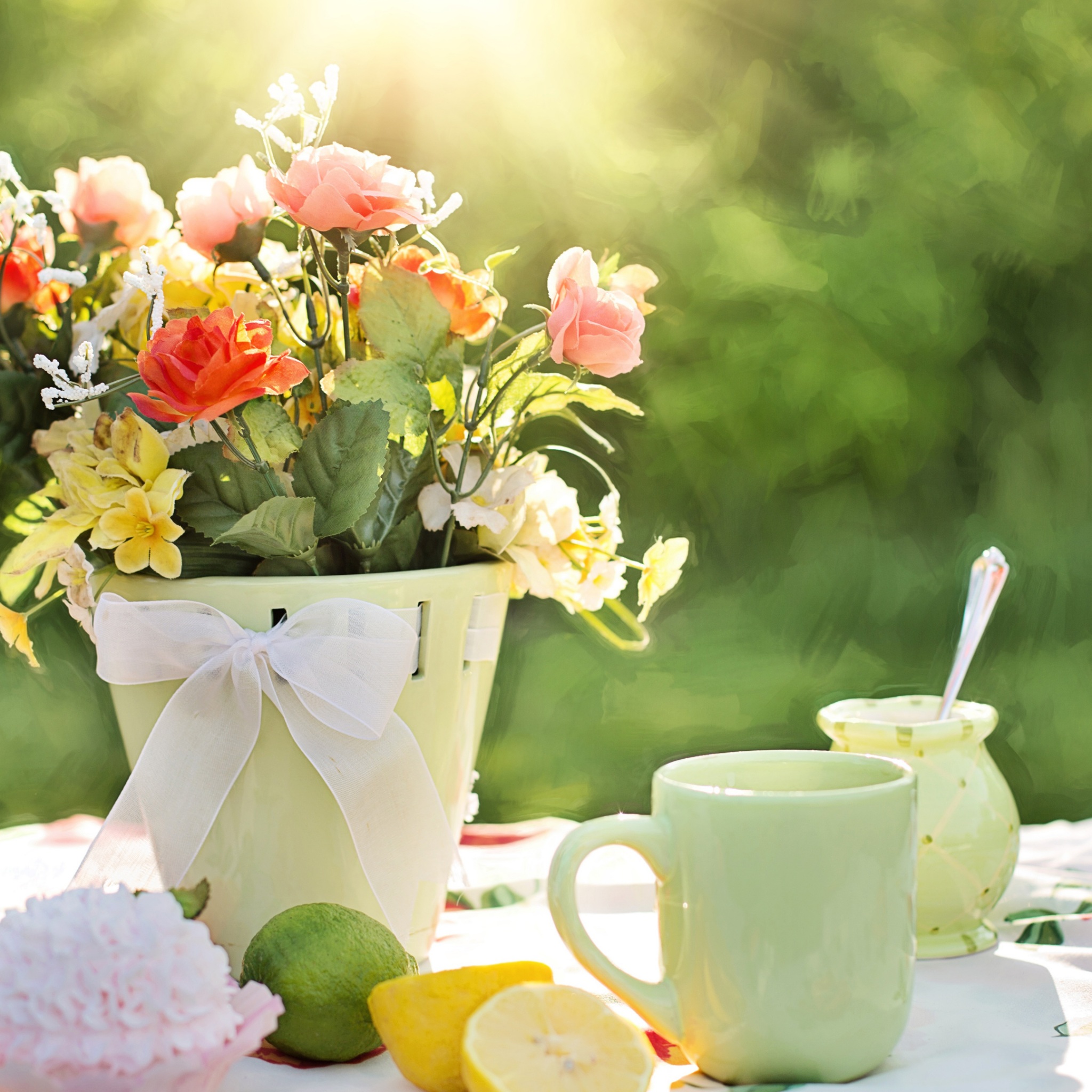 Flower Pot 4k Wallpapers Wallpaper Cave