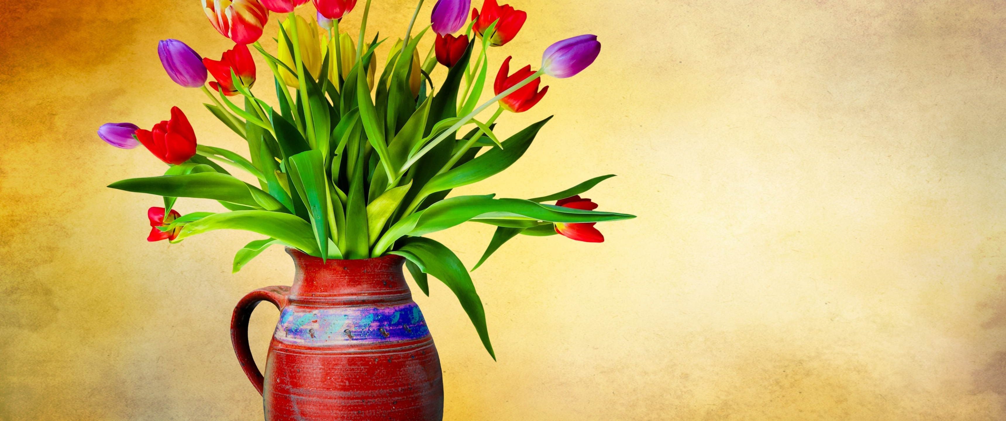 Flower Pot 4k Wallpapers Wallpaper Cave