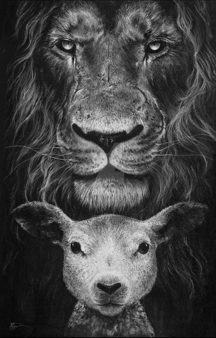 Lion And Lamb Wallpapers Wallpaper Cave