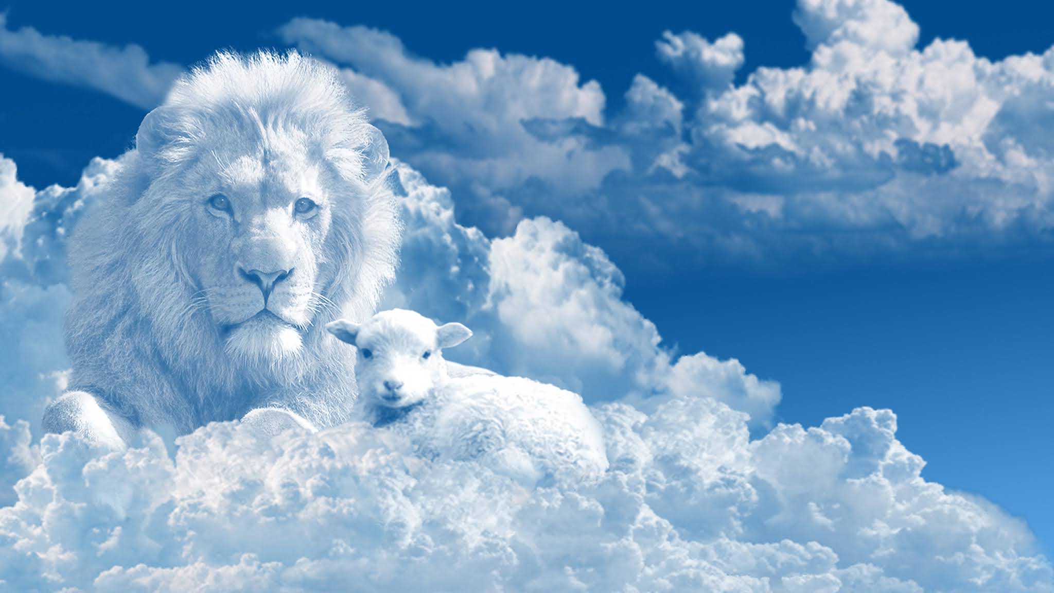Lion And Lamb Wallpapers Wallpaper Cave
