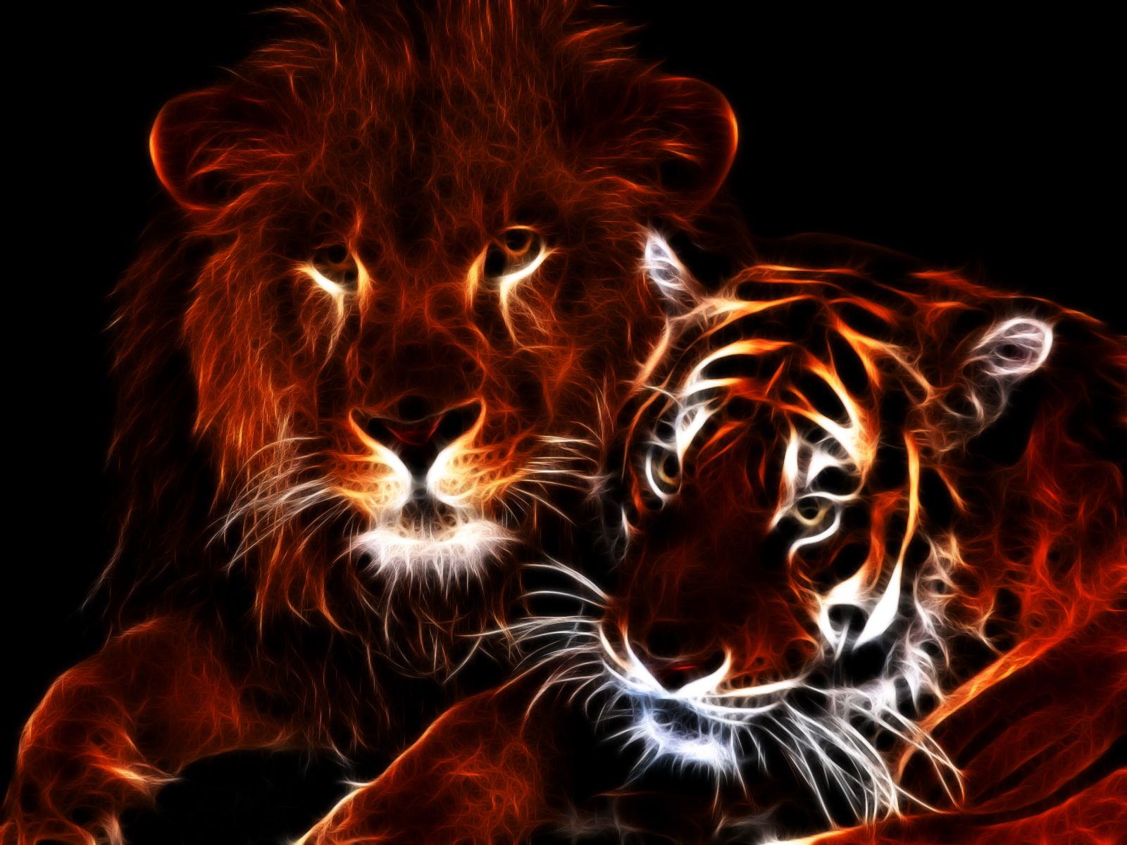 Glowing Tigers Wallpapers Wallpaper Cave