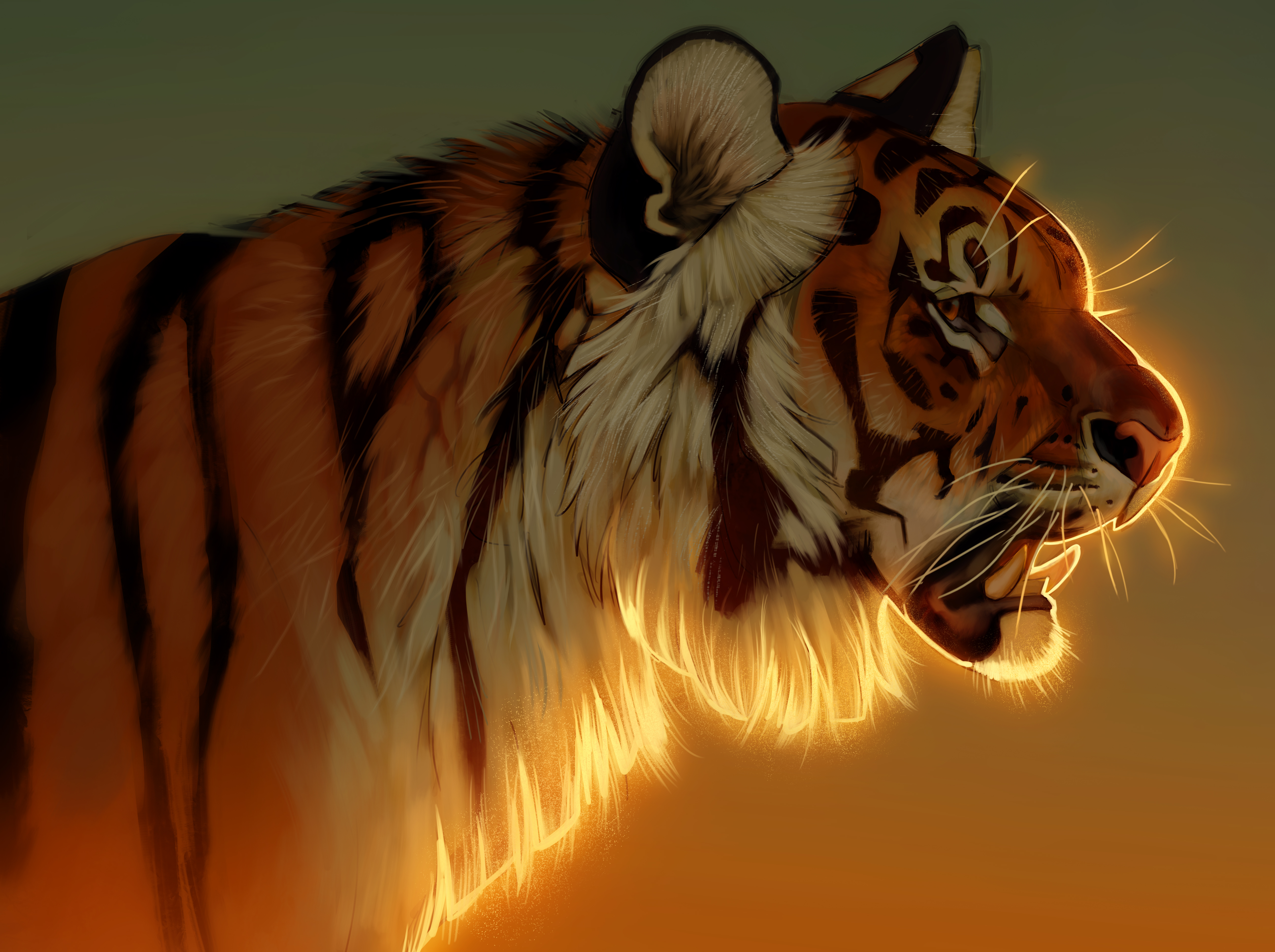 Glowing Tigers Wallpapers Wallpaper Cave