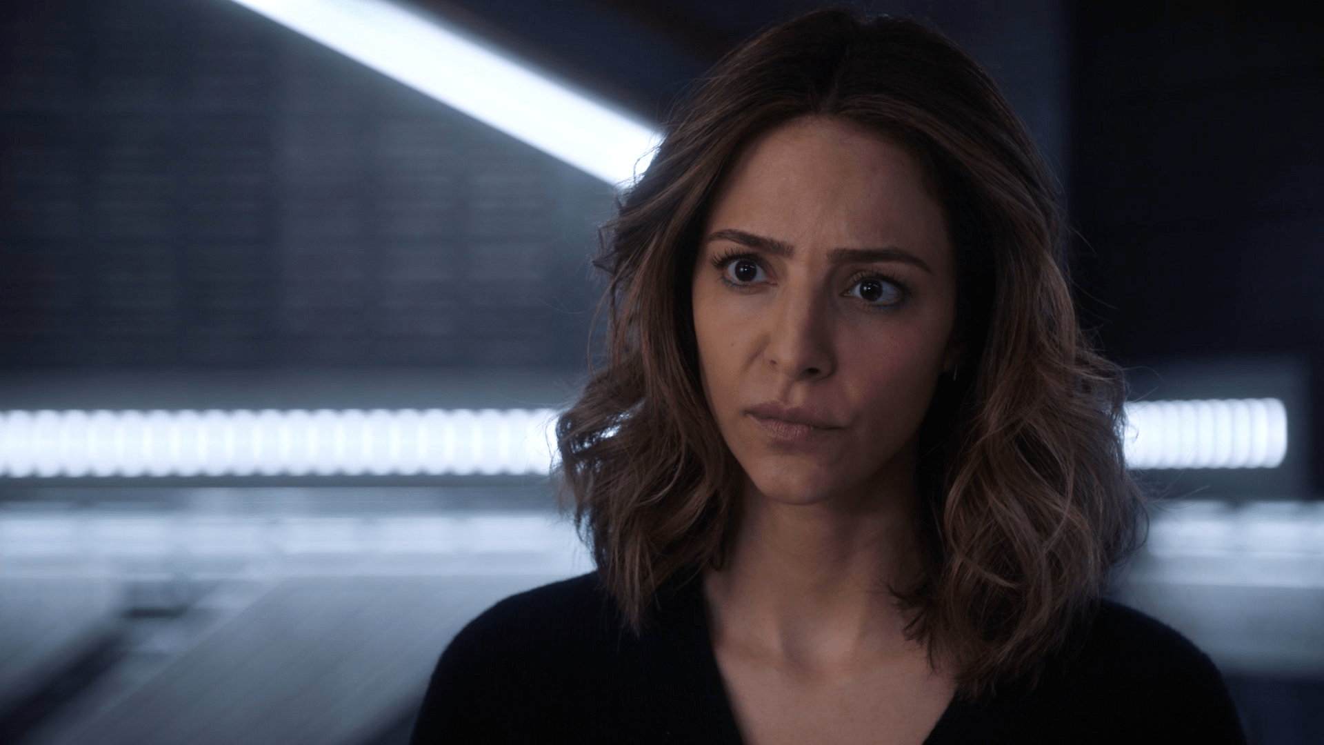 Zari Tarazi Wallpapers Wallpaper Cave