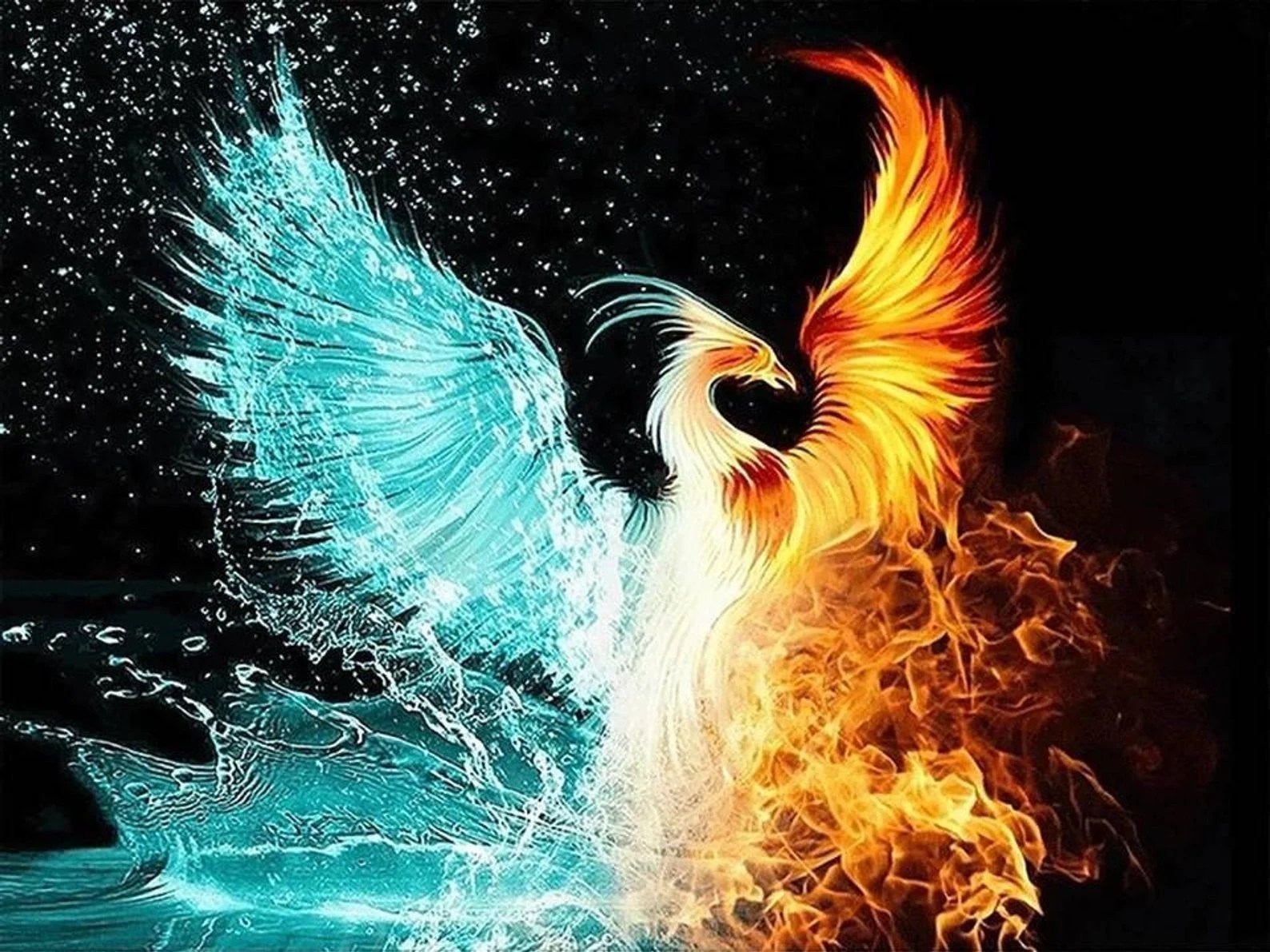 Water Fire Phoenix Wallpapers Wallpaper Cave