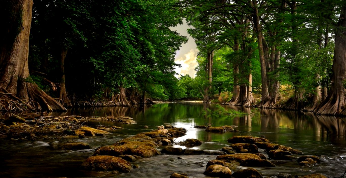 Macbook Nature Wallpapers Wallpaper Cave