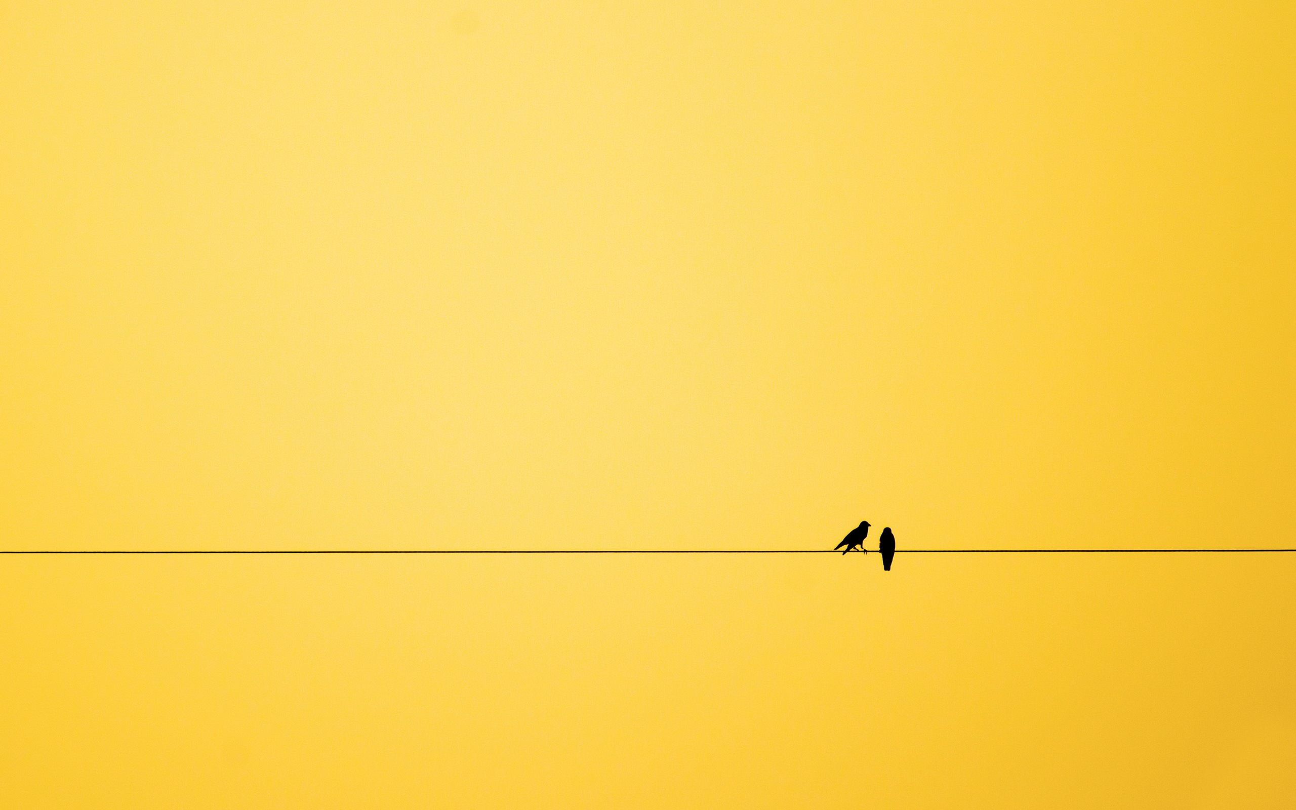 Yellow Minimal Wallpapers Wallpaper Cave