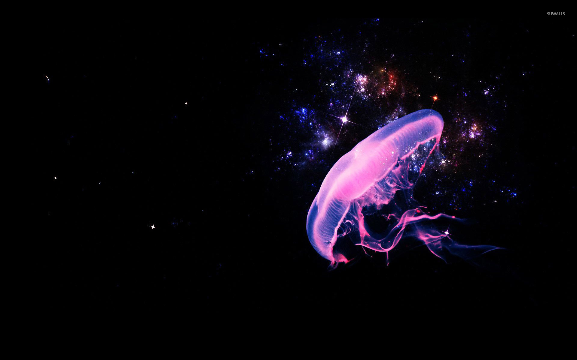 Astronaut Jellyfish Wallpapers Wallpaper Cave