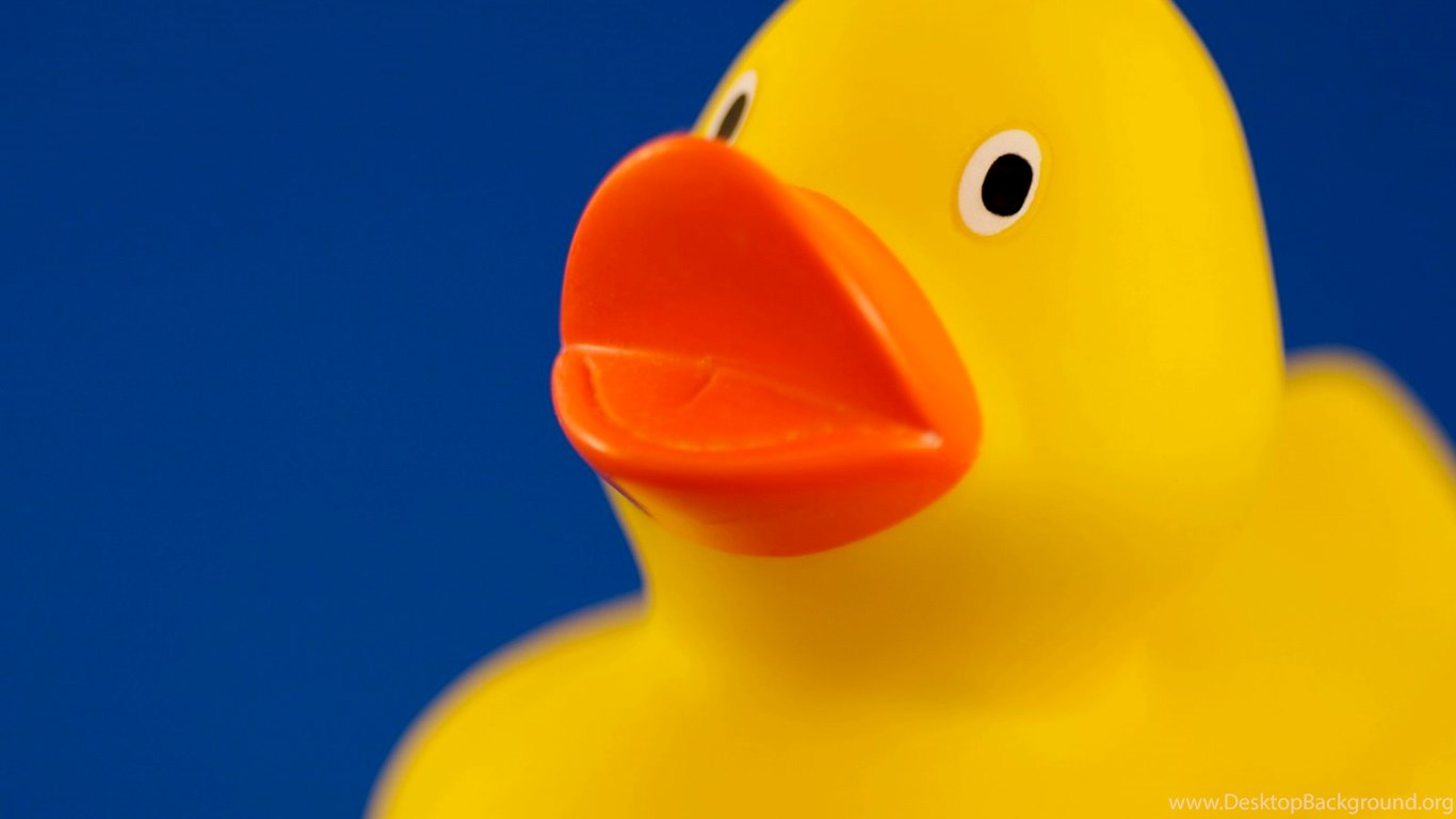 Yellow Duck Wallpapers Wallpaper Cave