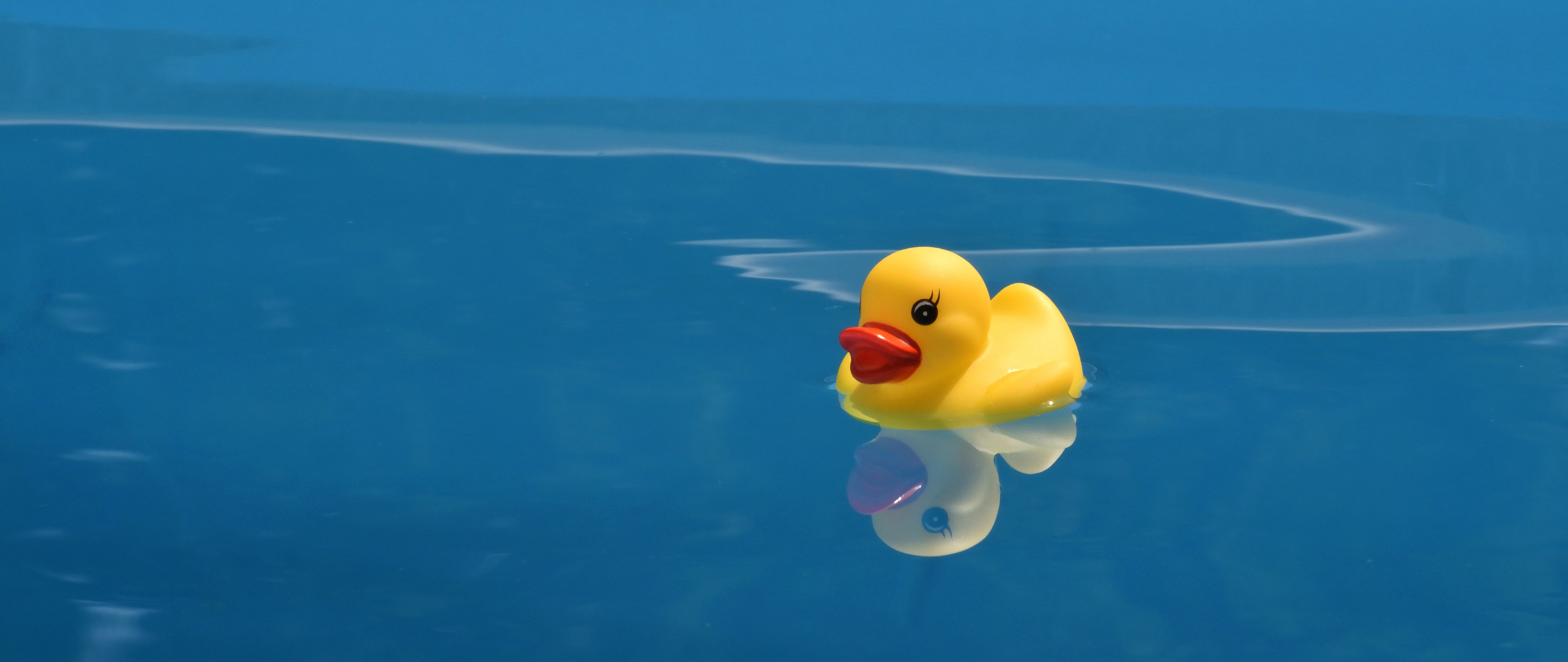 Yellow Duck Wallpapers Wallpaper Cave