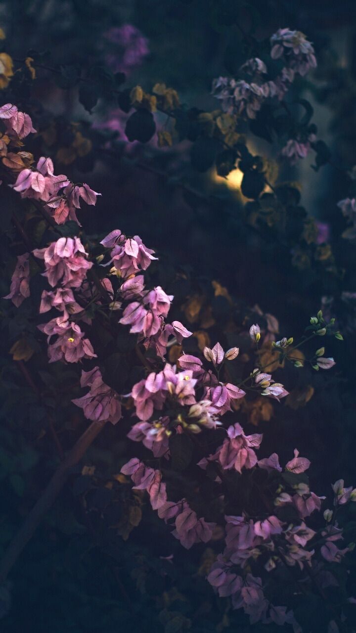 Therapist Wallpapers Wallpaper Cave