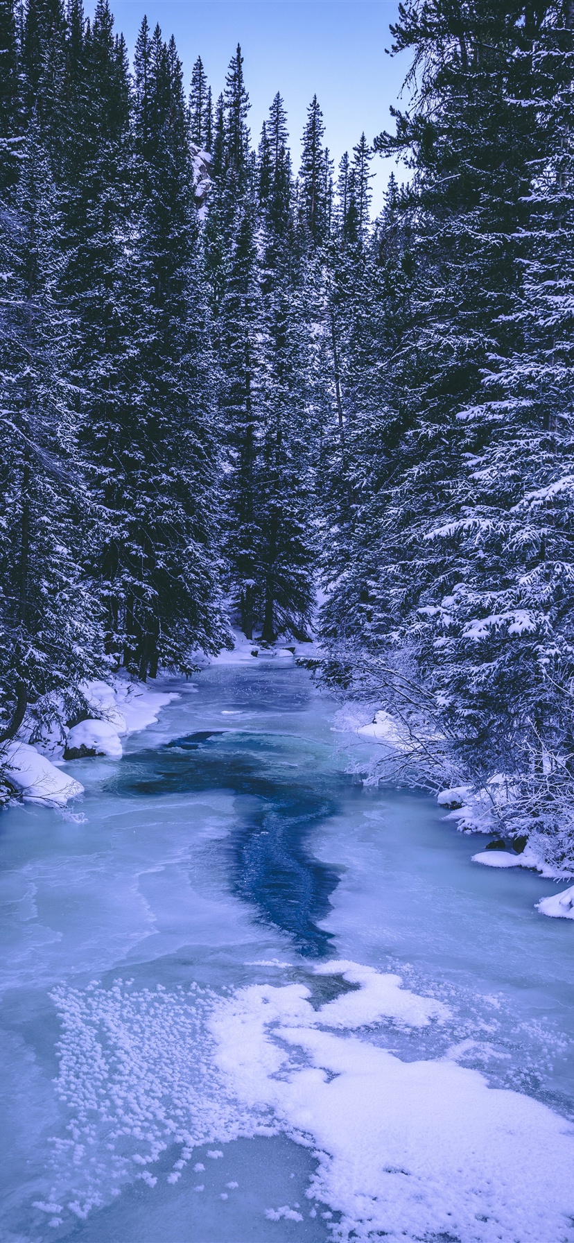 Winter iPhone XR Wallpapers Wallpaper Cave