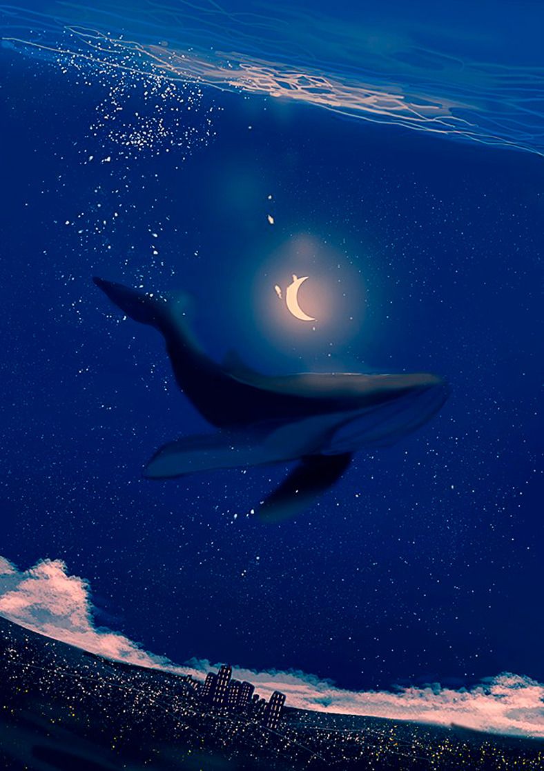 Aesthetic Whale Wallpapers Wallpaper Cave