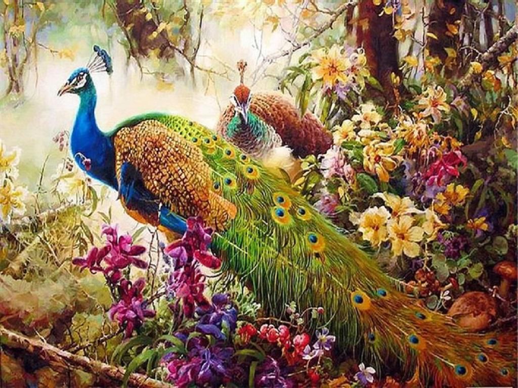 Peacock Painting Wallpapers Wallpaper Cave