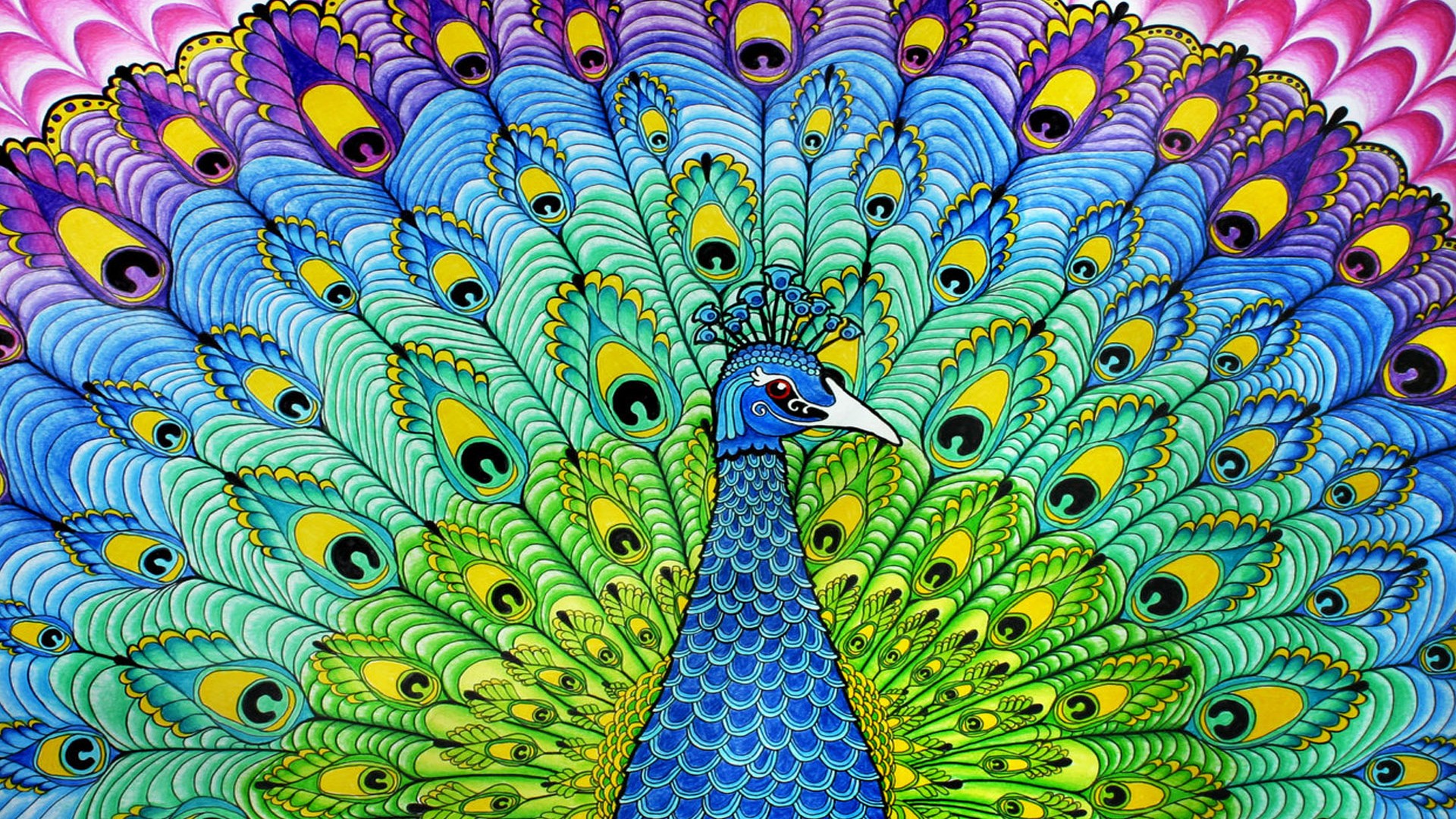 Peacock Painting Wallpapers Wallpaper Cave