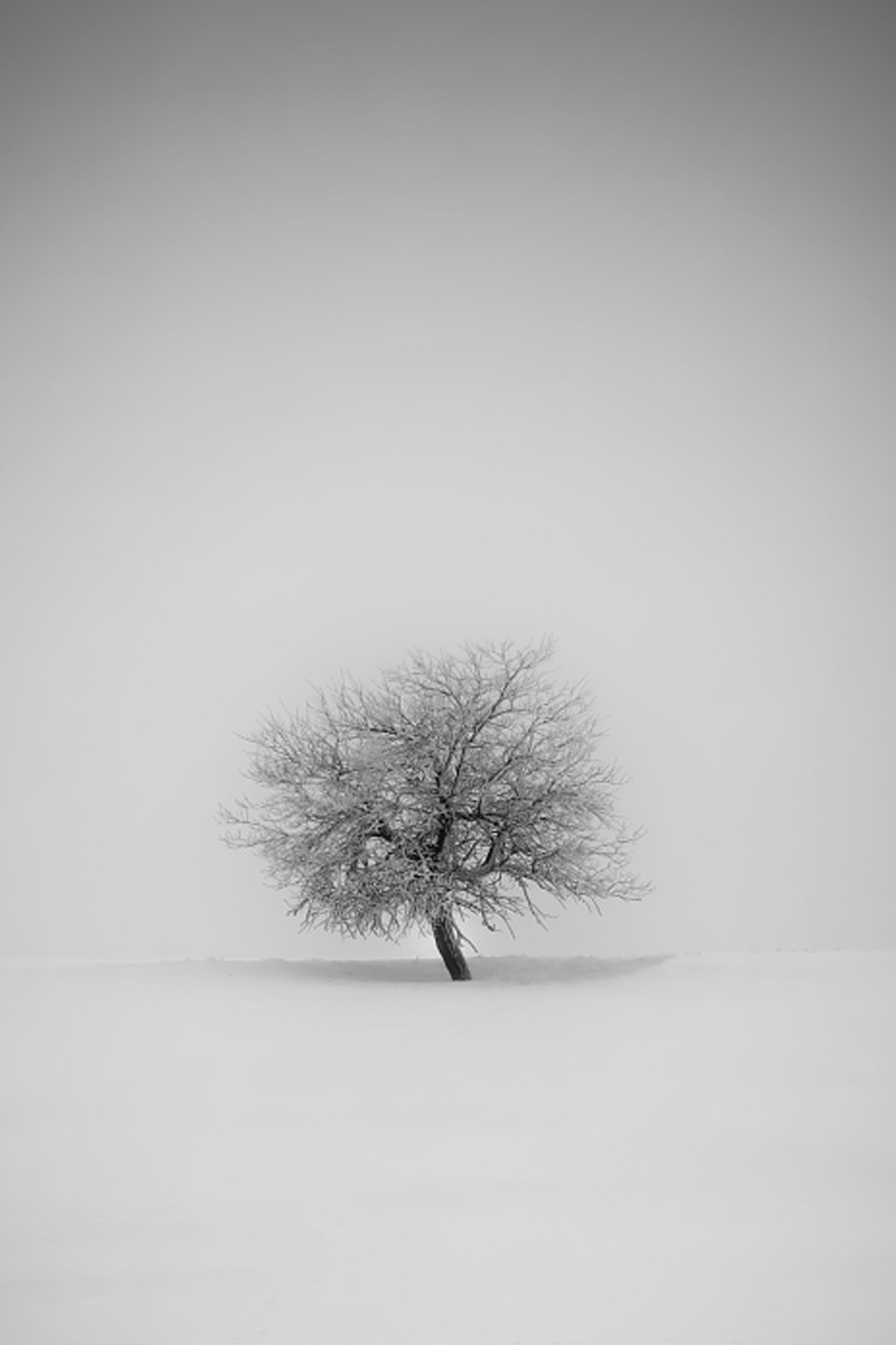 Minimalistic Winter iPhone Wallpapers Wallpaper Cave