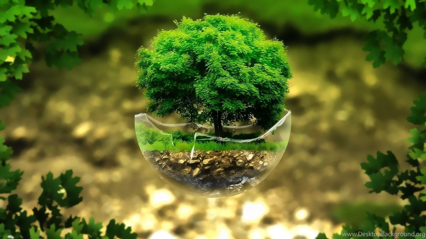 3D Tree Wallpapers Wallpaper Cave