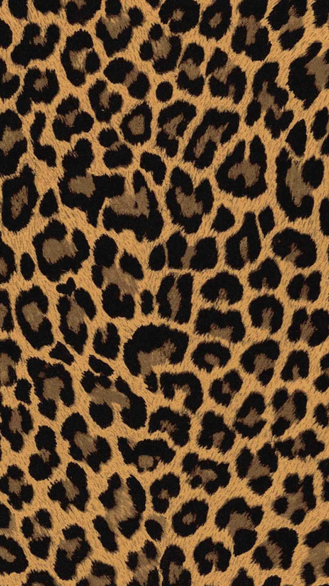 Leopard Pattern Wallpapers Wallpaper Cave