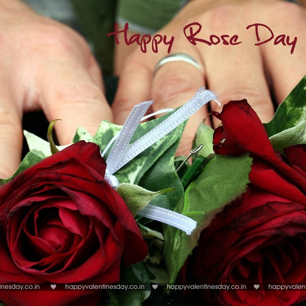 Valentine Flower Quotes Wallpapers Wallpaper Cave