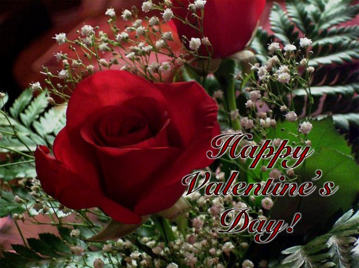 Valentine Flower Quotes Wallpapers Wallpaper Cave