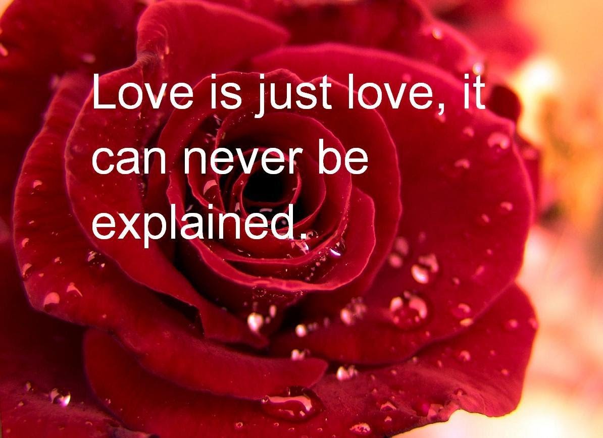 Valentine Flower Quotes Wallpapers Wallpaper Cave
