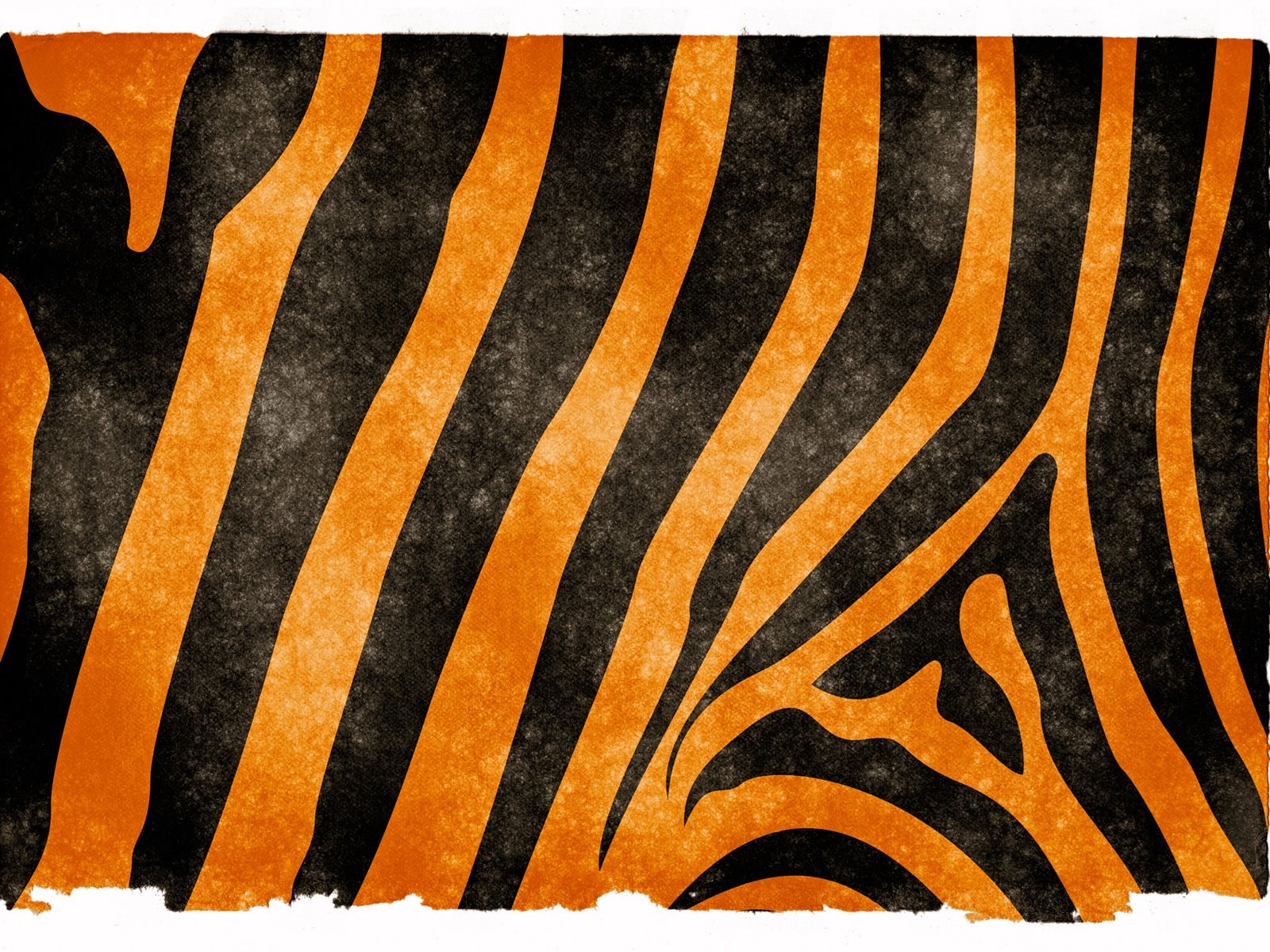 Tiger Stripes Wallpapers Wallpaper Cave