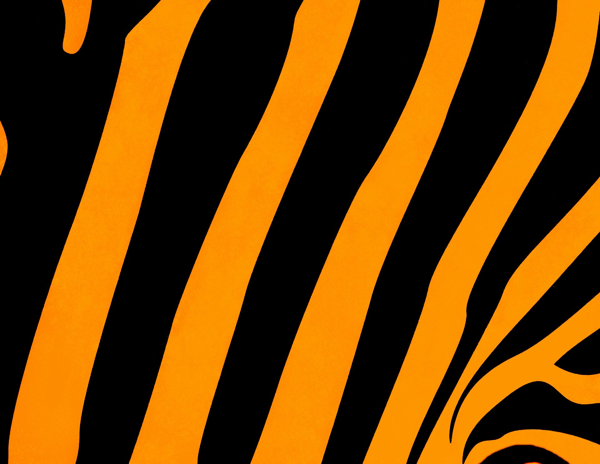 Tiger Stripes Wallpapers Wallpaper Cave