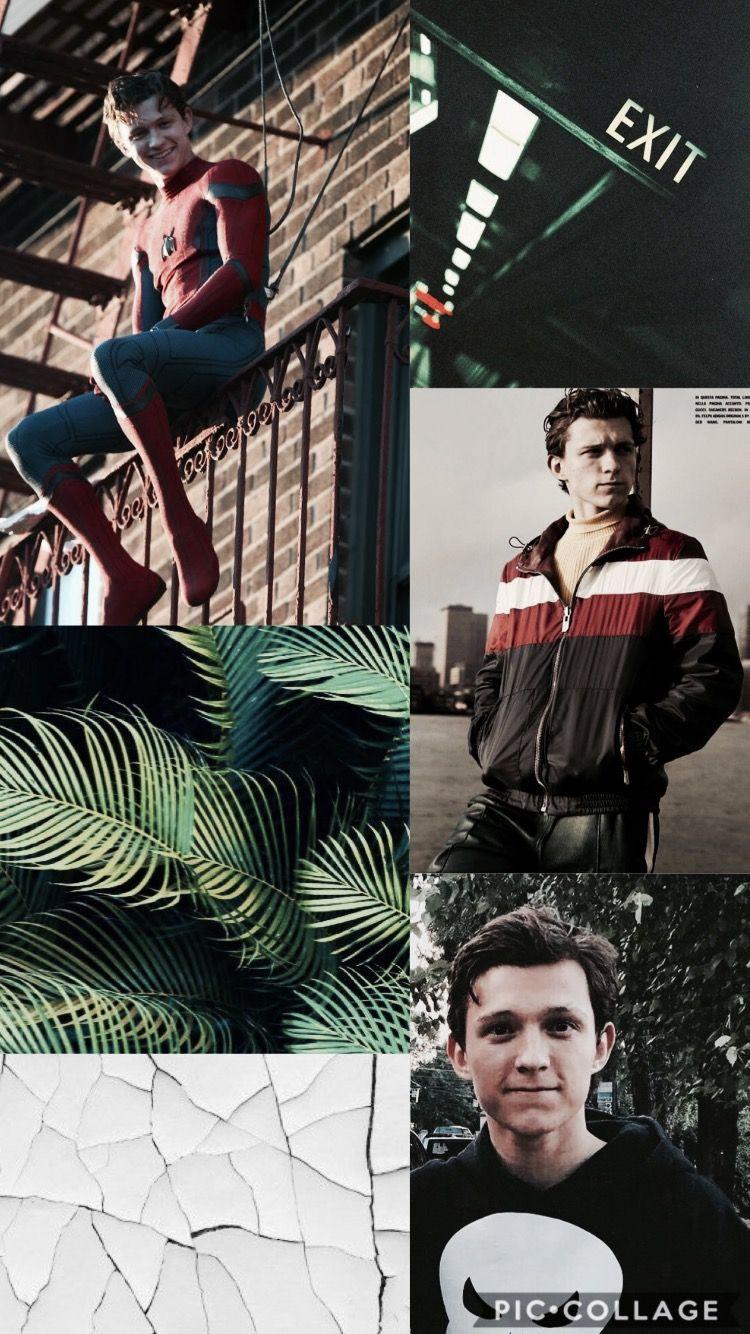 Tom Holland Collage Wallpapers Wallpaper Cave