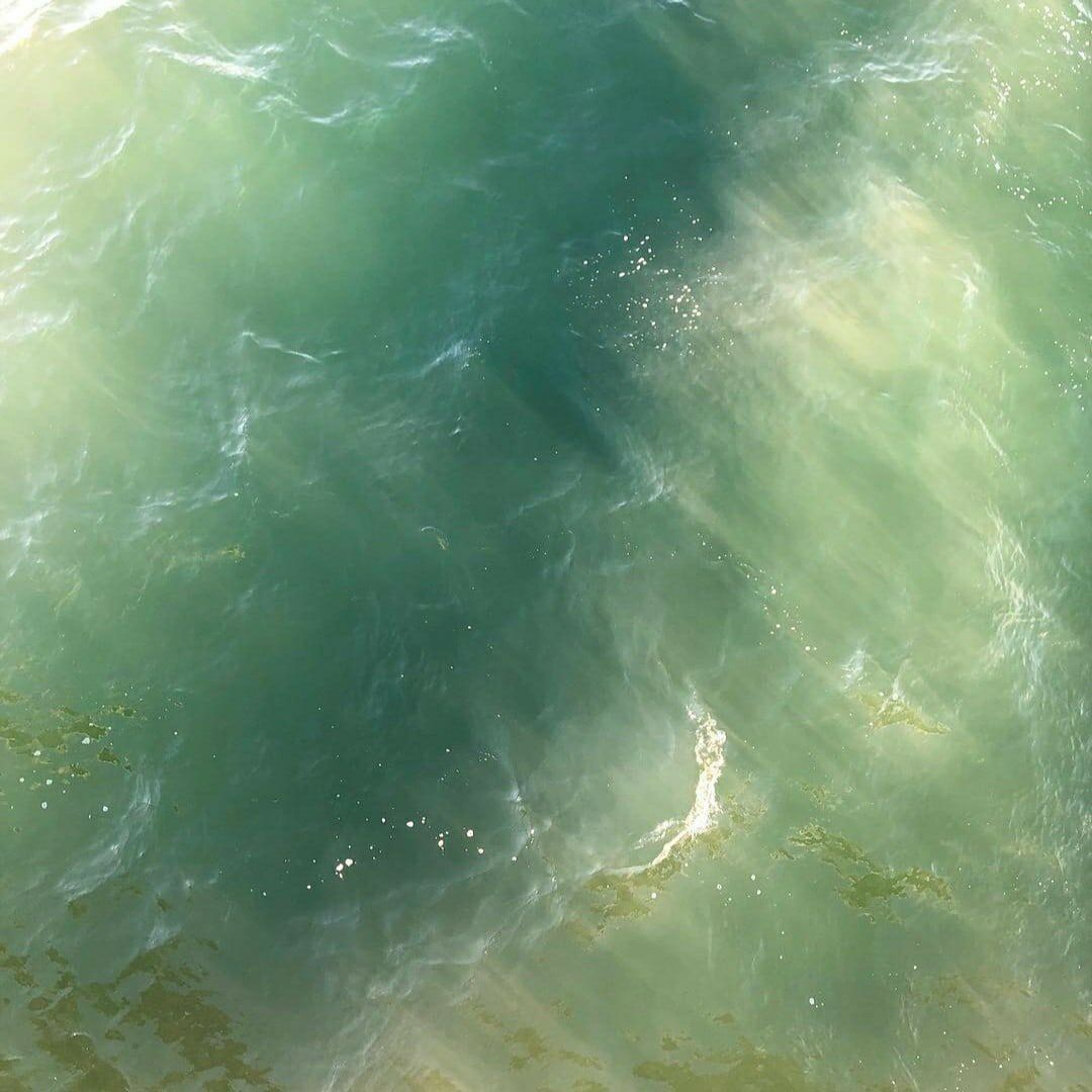 Green Virgo Wallpapers Wallpaper Cave