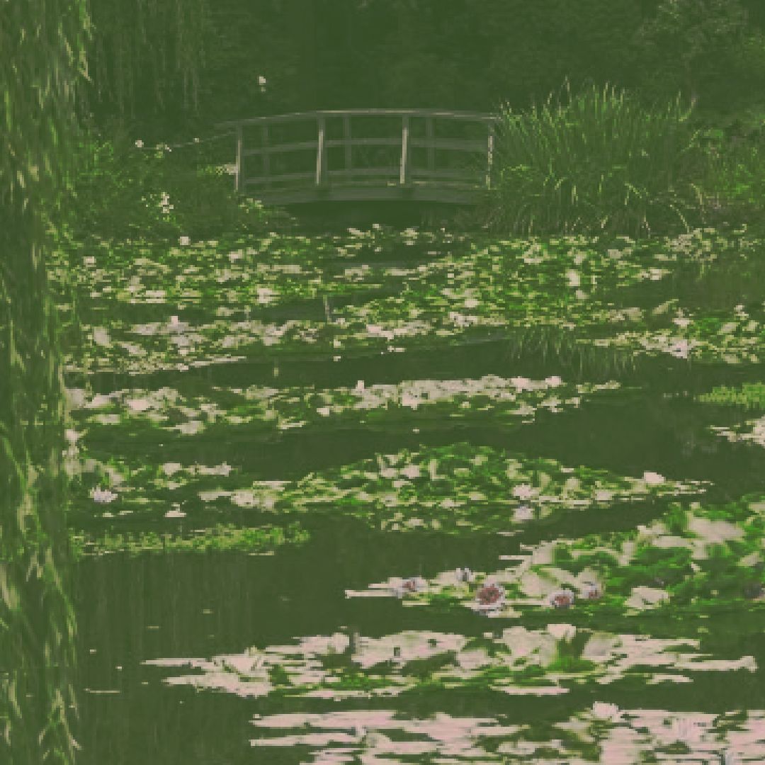 Green Virgo Wallpapers Wallpaper Cave