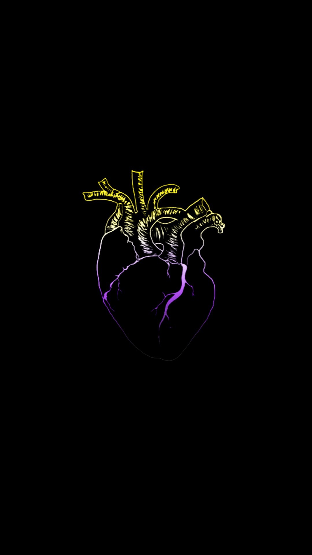 Non Binary Hidden Wallpapers Wallpaper Cave