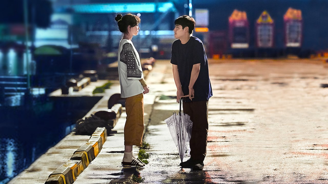 When The Camellia Blooms Wallpapers Wallpaper Cave