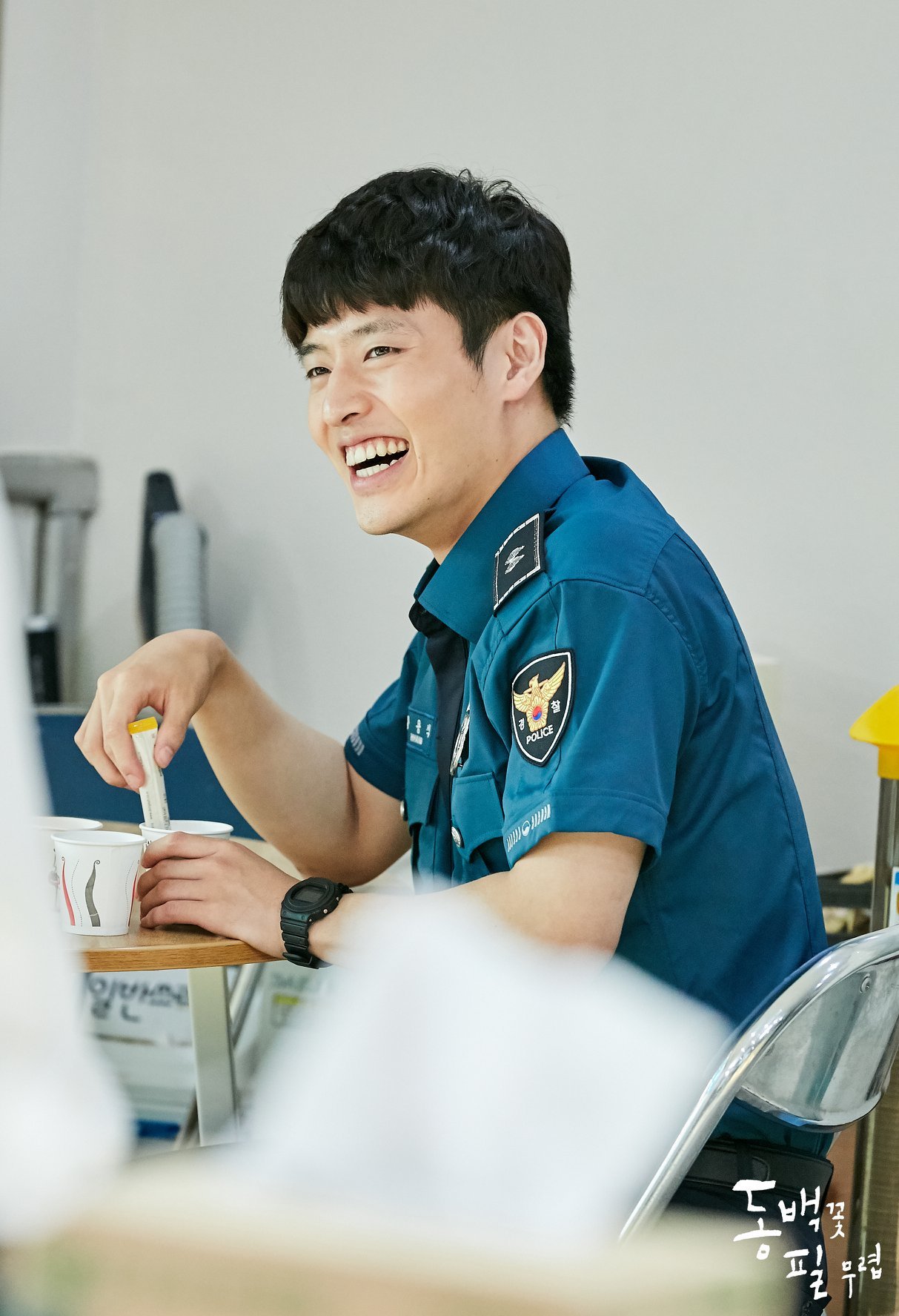 When The Camellia Blooms Wallpapers Wallpaper Cave