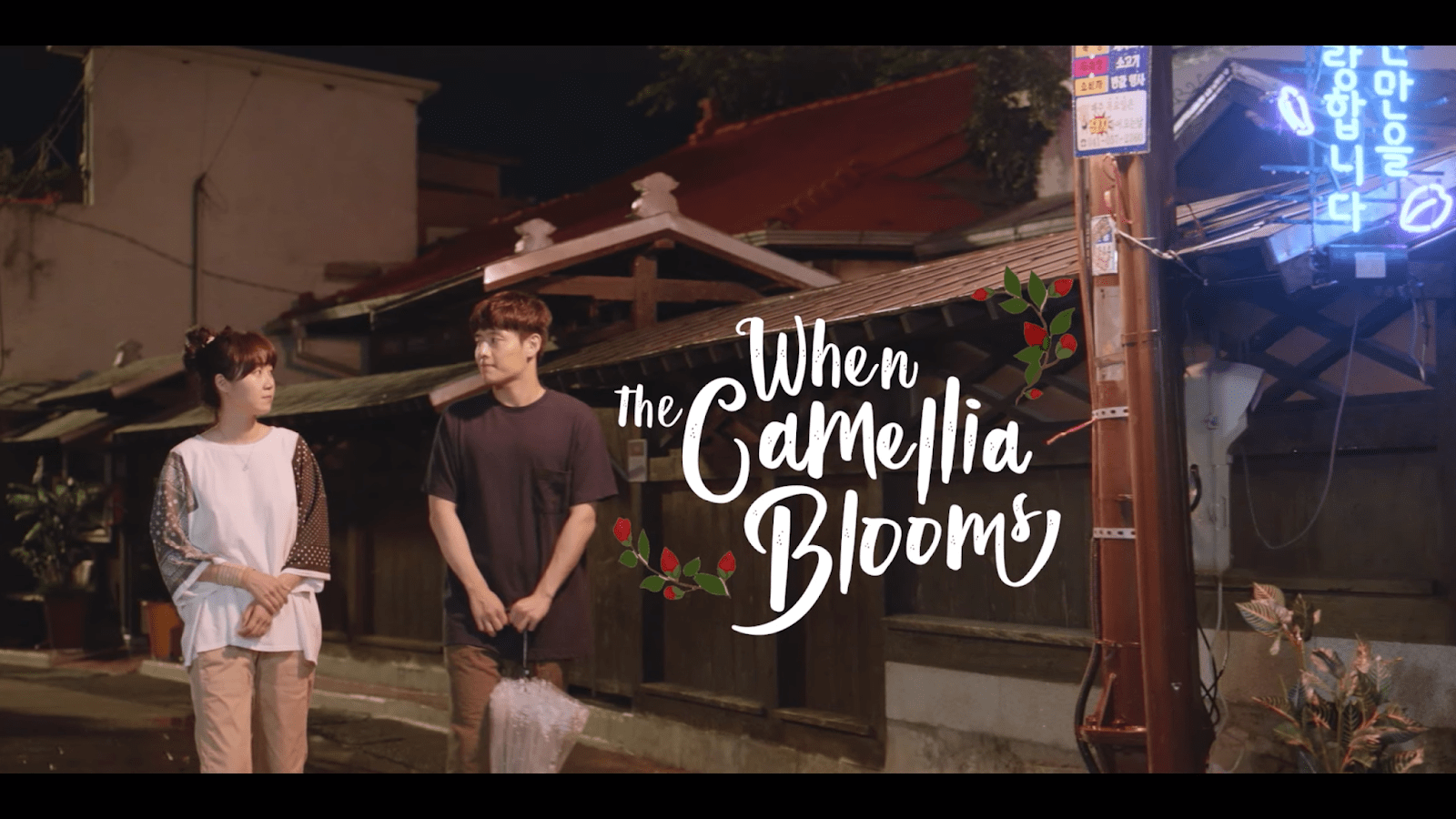 When The Camellia Blooms Wallpapers Wallpaper Cave