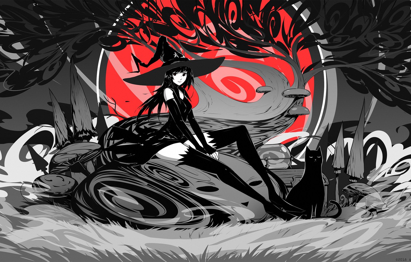 Witch Cat Wallpapers Wallpaper Cave