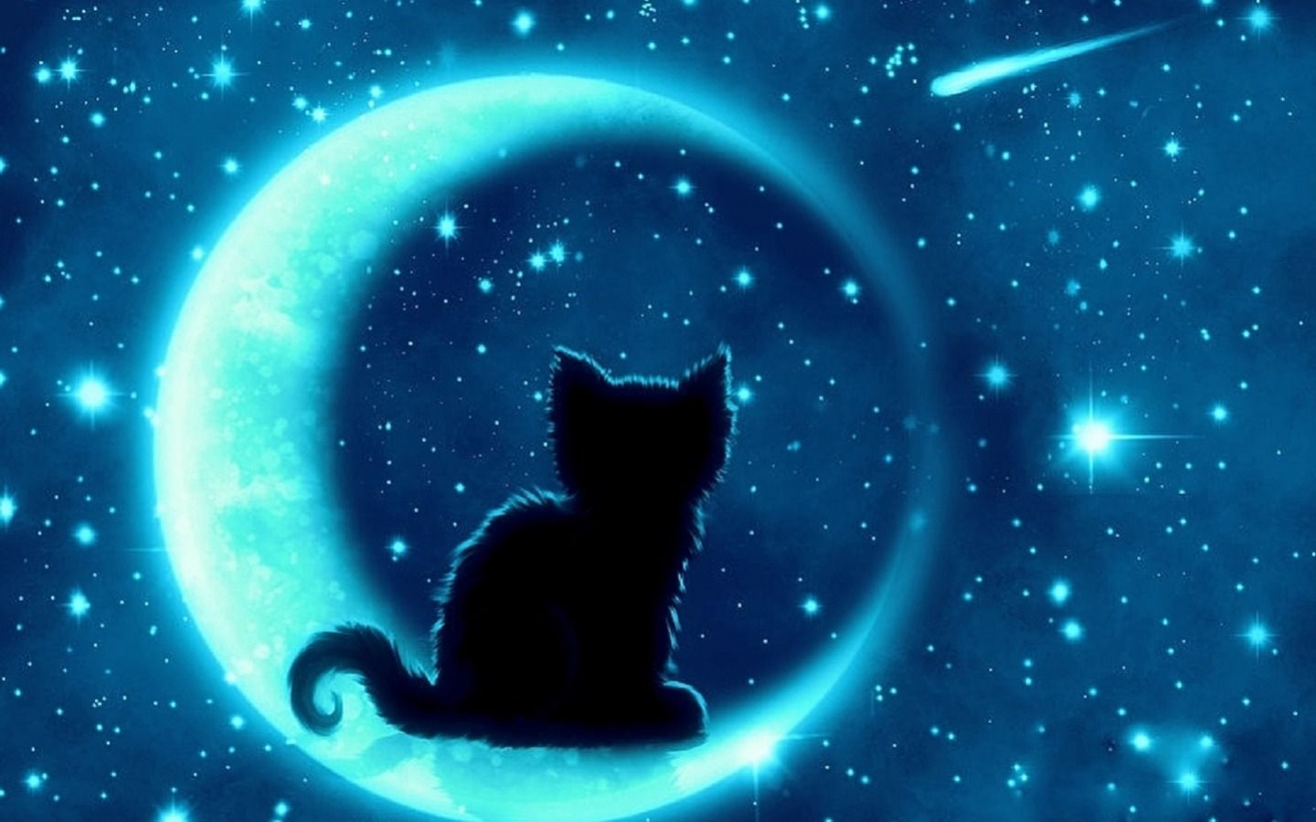 Cat And Moon Wallpapers Wallpaper Cave