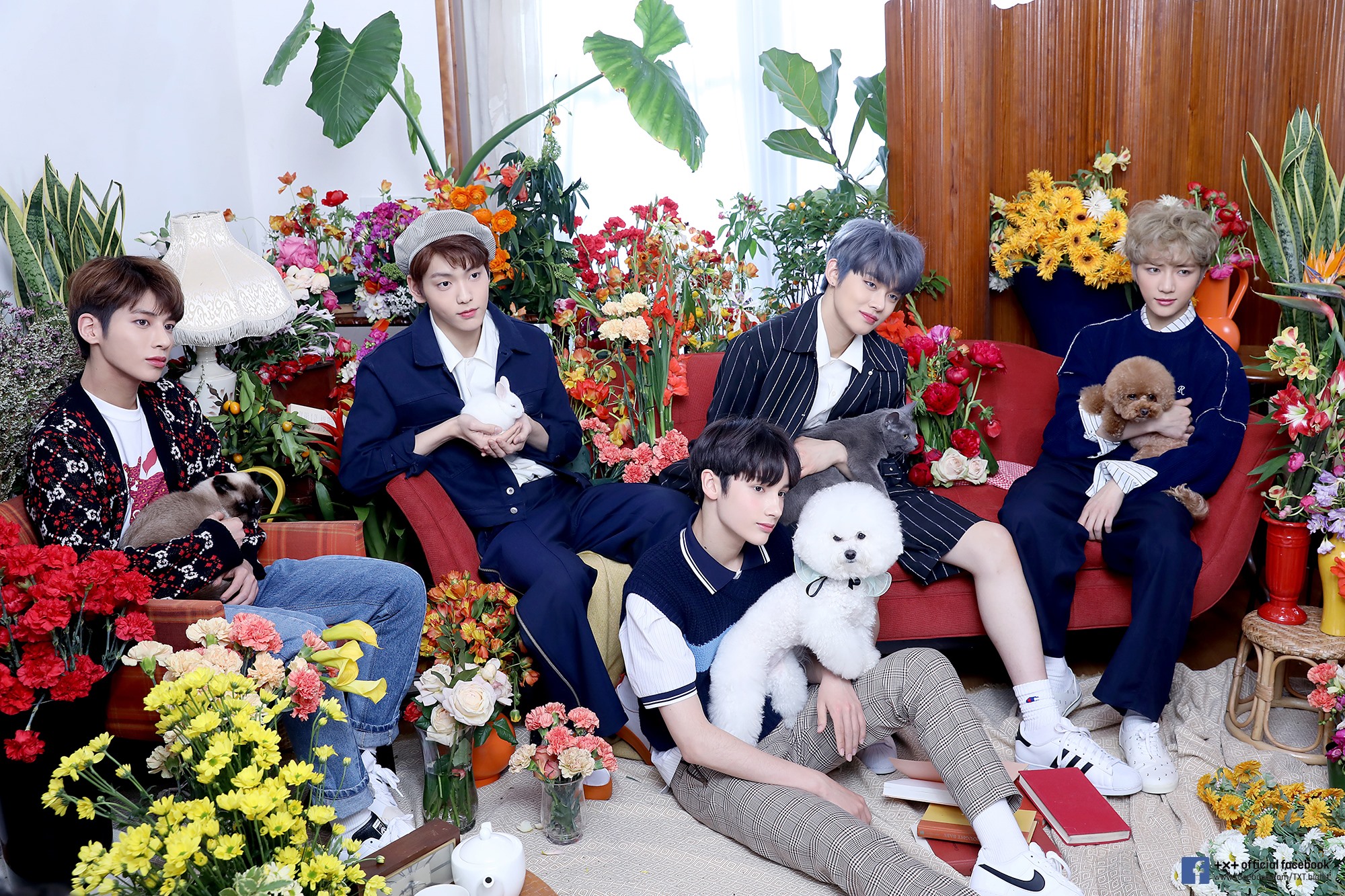 Cat And Dog TXT Wallpapers Wallpaper Cave