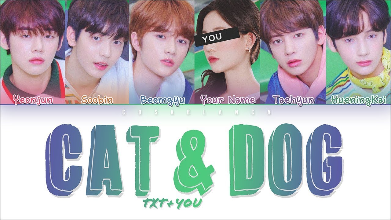 Cat And Dog TXT Wallpapers Wallpaper Cave