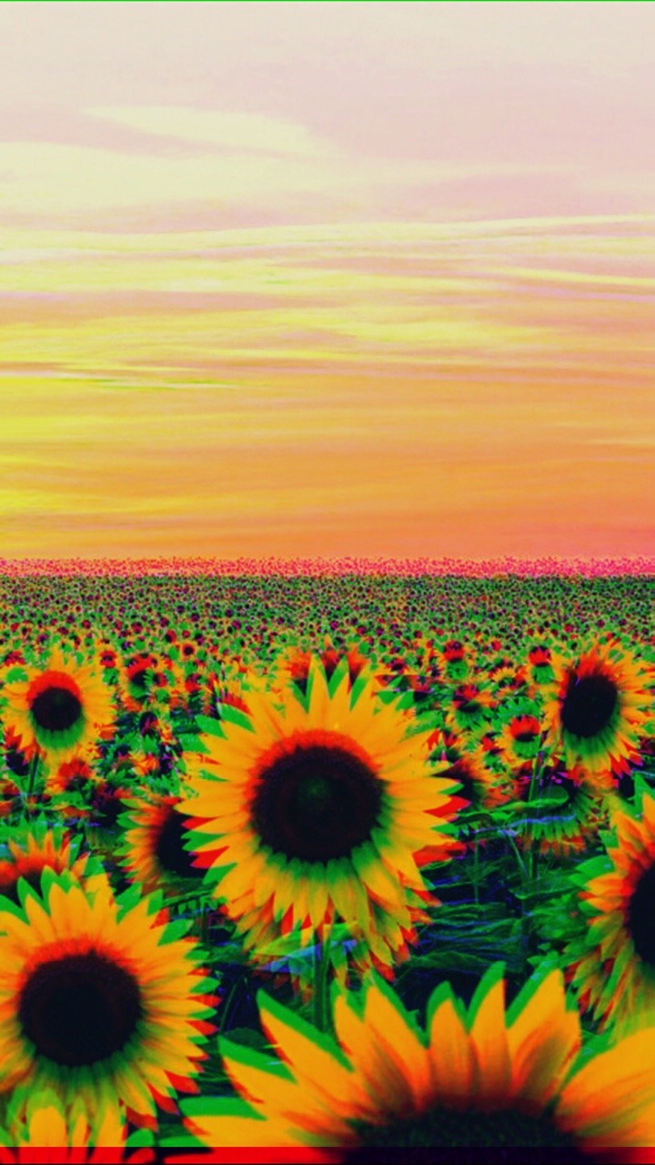 Sunflower Art Wallpapers Wallpaper Cave