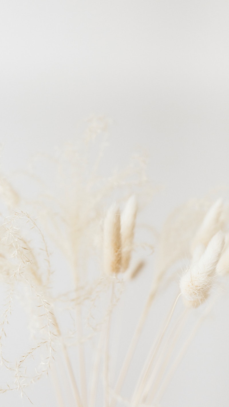 Clean Aesthetic Wallpapers Wallpaper Cave