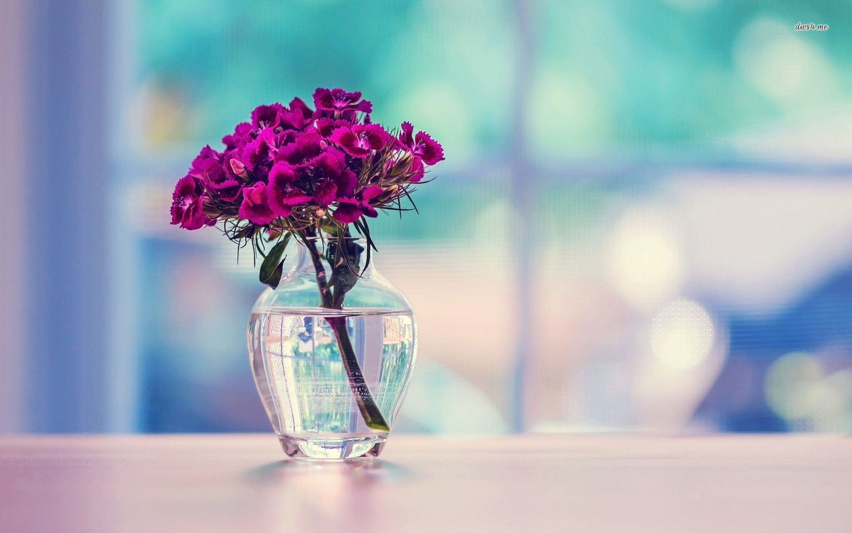 Flowers In Vase Wallpapers Wallpaper Cave