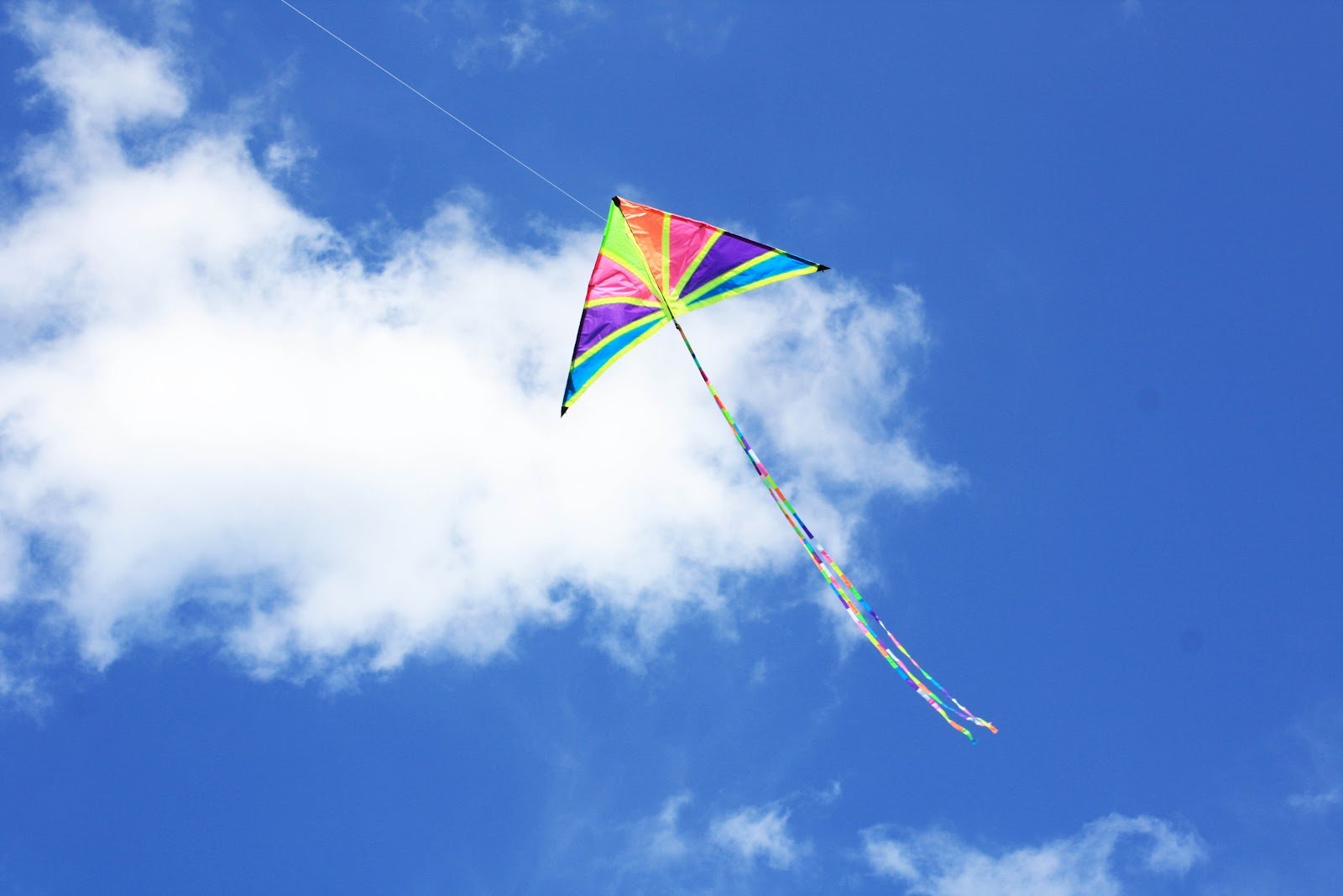 Kite Flying Wallpapers Wallpaper Cave